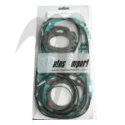 Gasket kit, 650cc