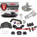 Kit Stage 1 Yamaha FZR/ FZS Riva Racing