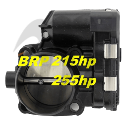 BRP-  Sea-Doo Throttle Body 4-Temps