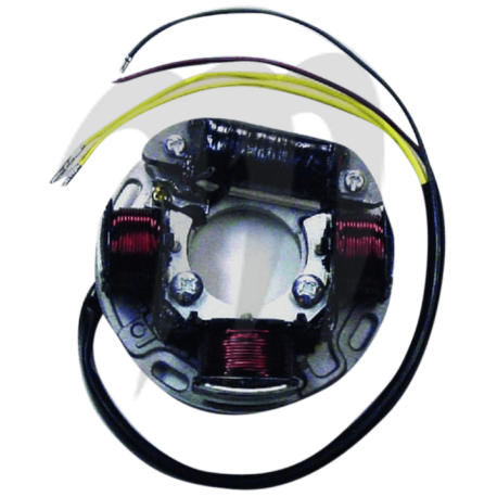 Stator Seadoo GS /GSI /GTI /GTS /HX /SP /SPI /SPX /XP