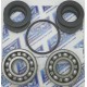 Kawasaki JS Turbine Bearing Kit