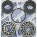 Kawasaki JS Turbine Bearing Kit