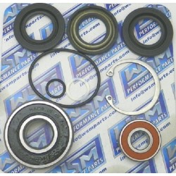 JET PUMP REPAIR KIT  , Ultra-150