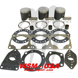 WSM USA . Kit Plunger Platinum, Kawasaki, 1100cc ( + 0.50mm )