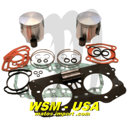 WSM. USA . Plungers Kit Platinum, Sea-Doo 951 DI ( + 1mm )
