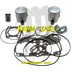 WSM. USA. Platinum Kit plungers, Seadoo 800 RFI (+0.50 mm)