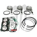 SBT -USA . Platinum Kit plungers, BRP  Sea-Doo, 130hp /155hp ( standard 99.96mm )