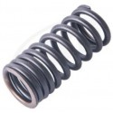 Valve spring ( EXT )