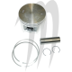 WSM USA . Plunger Platinum,  1100cc, Standard 80mm+0.25mm