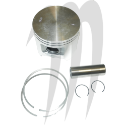 WSM USA . Plunger Platinum,  1100cc, Standard 80mm+0.25mm