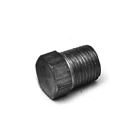 Brass Threaded Plug 1/4"