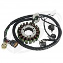 FACTORY-DIRECT . Complete Stator Assembly Amature Coil, Yamaha GP-1300R (2003-2008 )