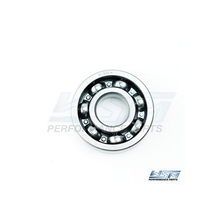 COUNTER BALANCE SHAFT BEARING 800/951