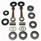 WSM USA .Kit Complete Reconditioning Crankshaft, 800 (CARB / RFI)