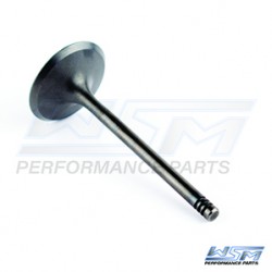 Intake valve