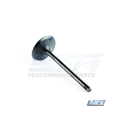 Intake valve