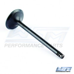 Exhaust valve