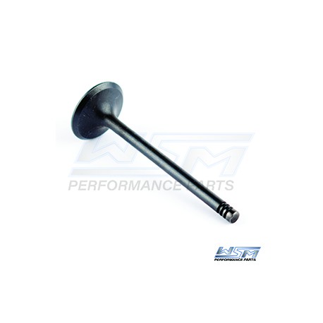 Exhaust valve