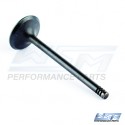 Exhaust valve