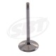 Admission valve Reinforced