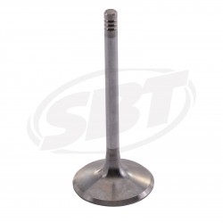 Admission valve Reinforced