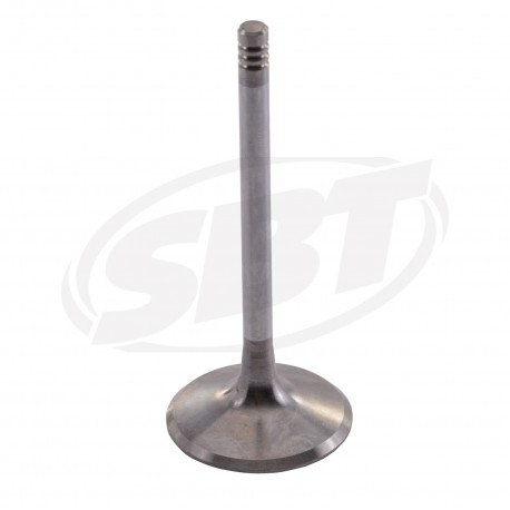 Admission valve Reinforced