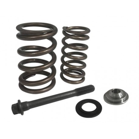 Racing Valve Springs Kit