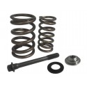 Racing Valve Springs Kit