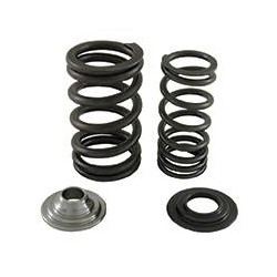 Complete Kit Springs Valves Racing