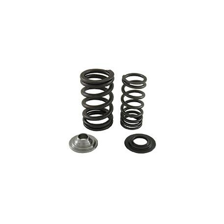 Complete Kit Springs Valves Racing