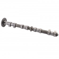 Exhaust camshaft