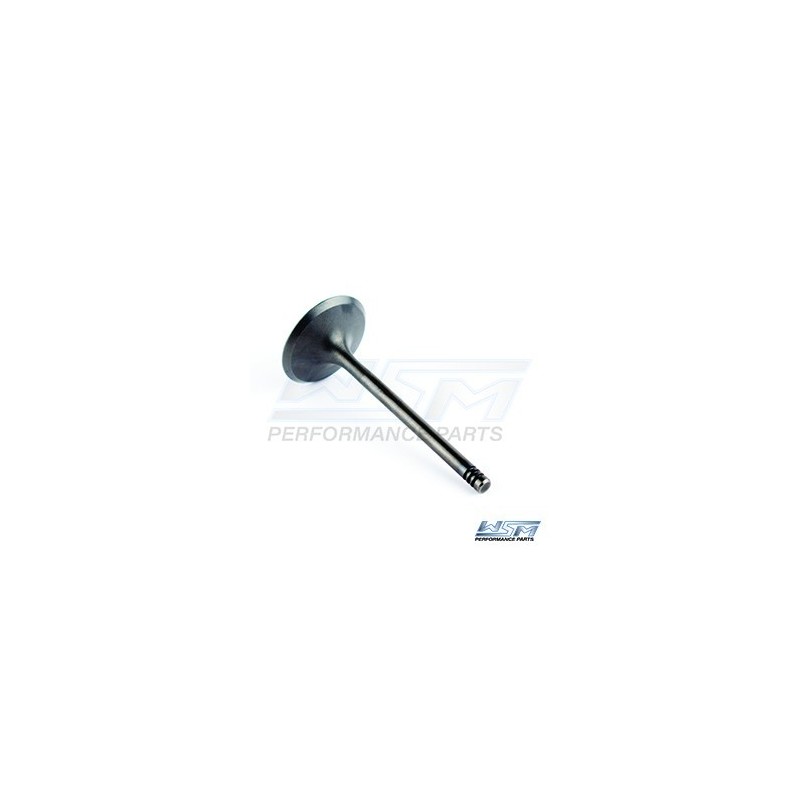 Intake valve