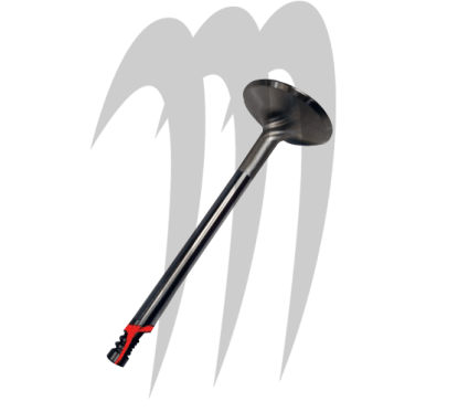 Photo Soupape d'échappement Kawasaki Ultra-300X - Pièces Jet Ski, accessoires et entretiens - Matos import