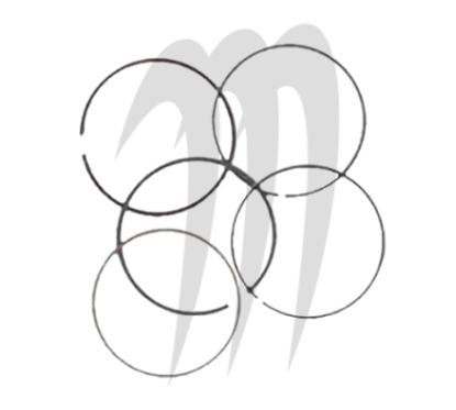 Photo Segments Yamaha 1100 (76*0.9*0.8*1.5mm) - Pièces Jet Ski, accessoires et entretiens - Matos import