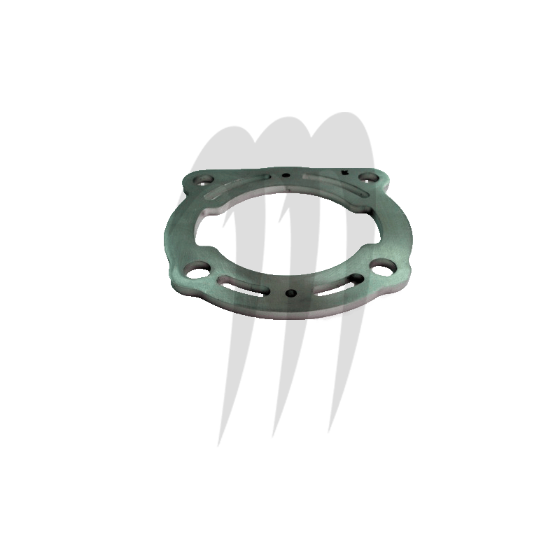 Plaque de suppression de bride Kawasaki Ultra-300X/ Ultra-310R