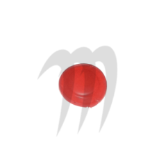 Photo Bouton Start /Stop XP/GTI/RXT/GTX/3D - Pièces Jet Ski, accessoires et entretiens - Matos import