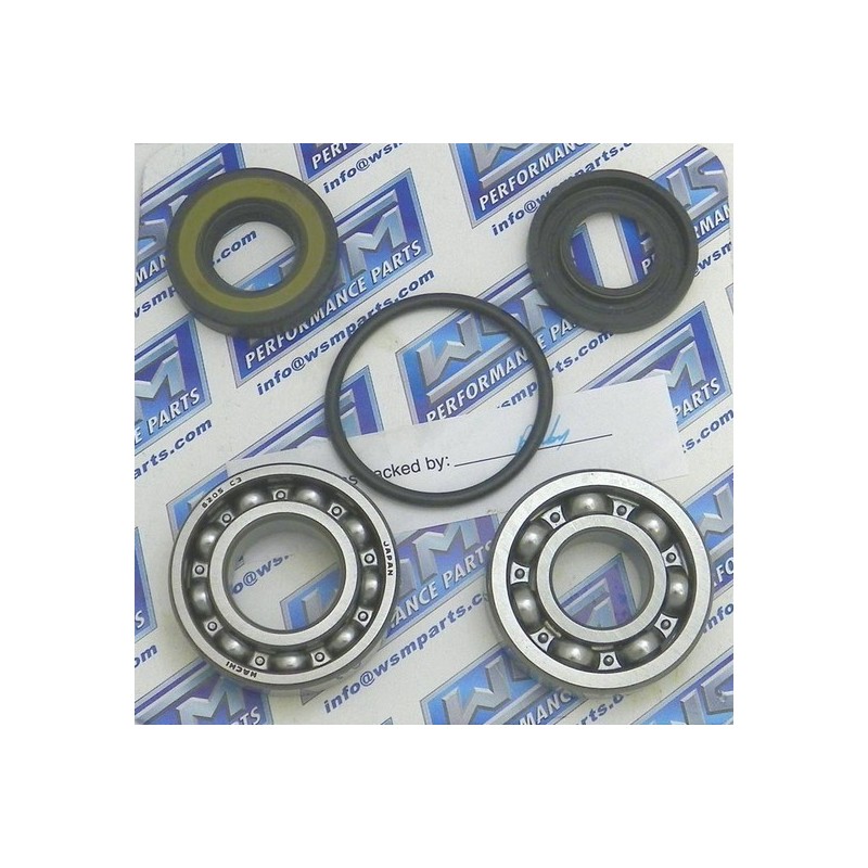 JET PUMP REPAIR KIT  , VX.1100