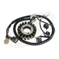 Photo Stator GP-1300R - Pièces Jet Ski, accessoires et entretiens - Matos import
