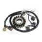 FACTORY-DIRECT . Complete Stator Assembly Amature Coil, Yamaha GP-1300R (2003-2008 )