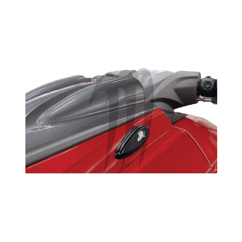 RIVA . BILLET MIRROR BLOCK-OFF-KIT, FZR . FZS