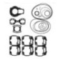 Gasket kit , 800cc  RFI