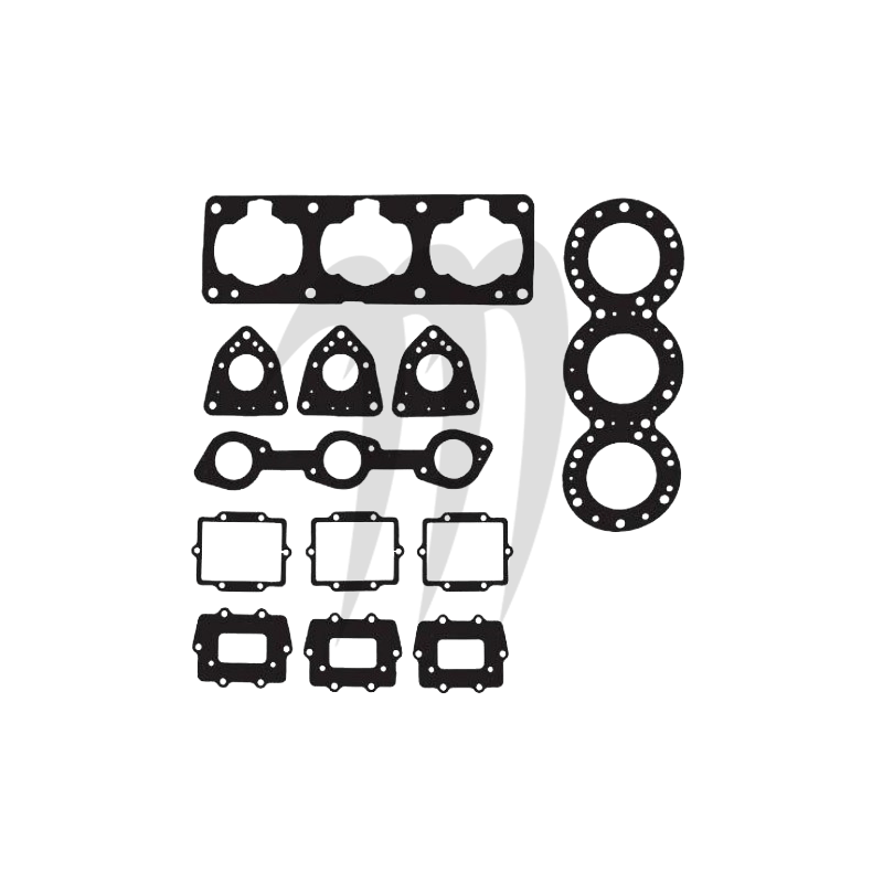 Engine gasket kit, 900cc