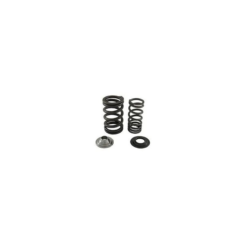Complete Kit Springs Valves Racing