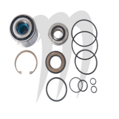 JET PUMP REPAIR KIT GTX - Jet Ski Parts - Matos import