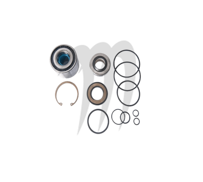 JET PUMP REPAIR KIT  , GTX