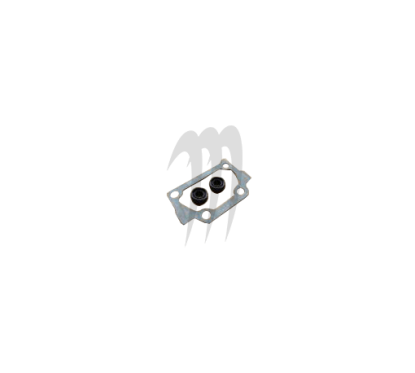 GASKET-TEC . Kit Power Valve de Remplacement, GP-800R .GP-1200R (1 joint et 2 toriques)