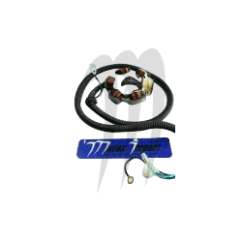 Stator XL 1200 LTX XLT 1200 GP 1200 GP 1200 R XR 1800 (valves)