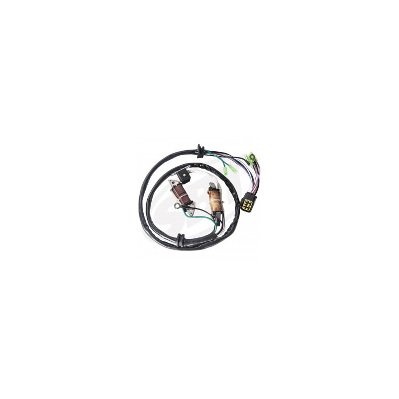 Kit Stator Plate Complet , 760cc Carb