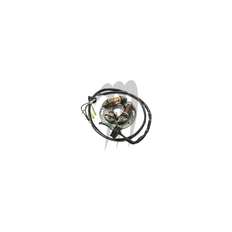 Kit Stator Plate Comple,t Yamaha 701cc ( 62T tout modèle Twin carb)