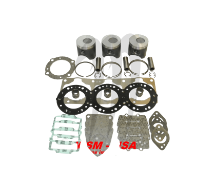 WSM USA Kit Plunger Platinum Kawasaki 1100cc DI ( + 0 25mm )
